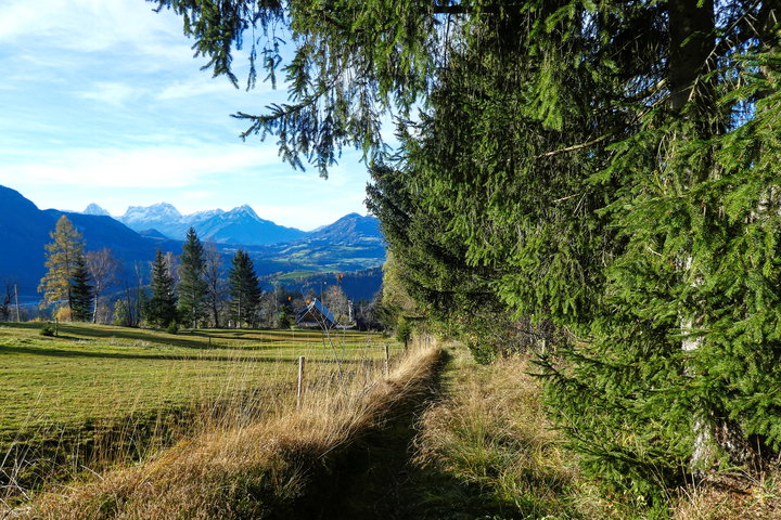 Abschnitt Wiesenweg nach Spital am Pyhrn. Foto: Eva Maria Ginal