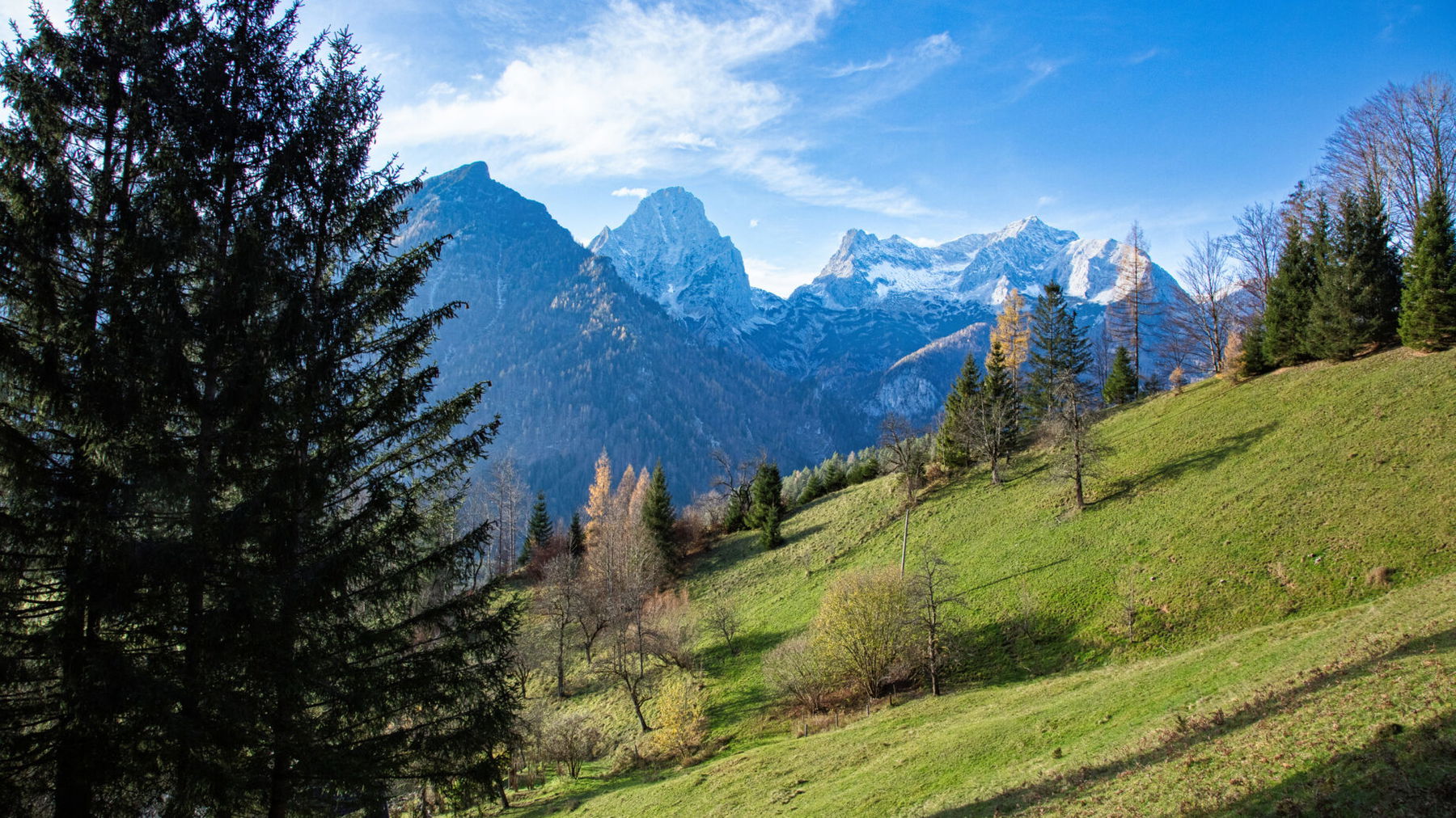 Rauf auf den Geislitzkogel 2. Foto: Eva Maria Ginal