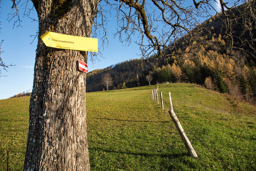 Wegweiser am Geislitzkogel. Foto: Eva Maria Ginal