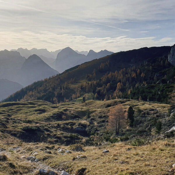 Foto: Markus Büchler