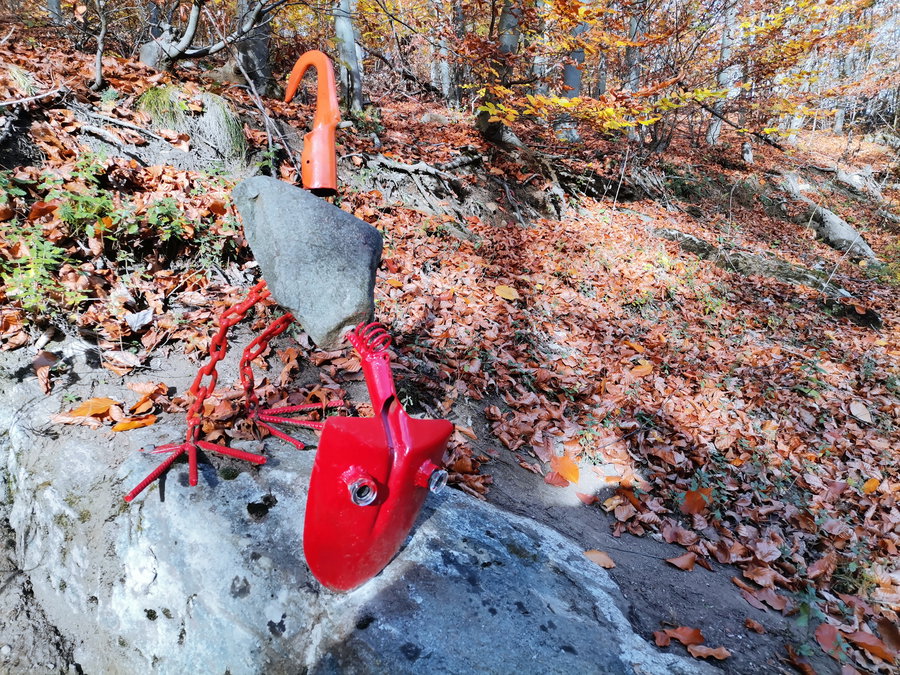 Piep! Foto Veronika Schöll
