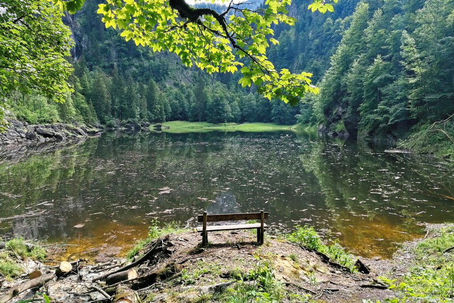 Abgeschiedener geht’s kaum mehr: der Kammersee. Foto: Sarah Pallauf