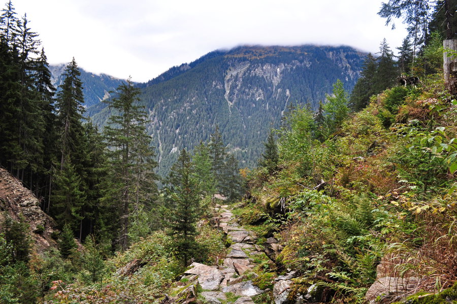 Aufstieg durch die Garneraschlucht (Fenggatobel). Foto: Norman und Lisa