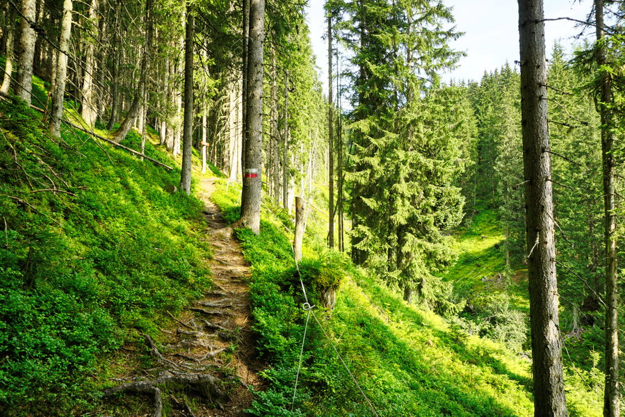 Aufstieg Richtung Geierkogel. Foto: Alpenverein Saalfelden