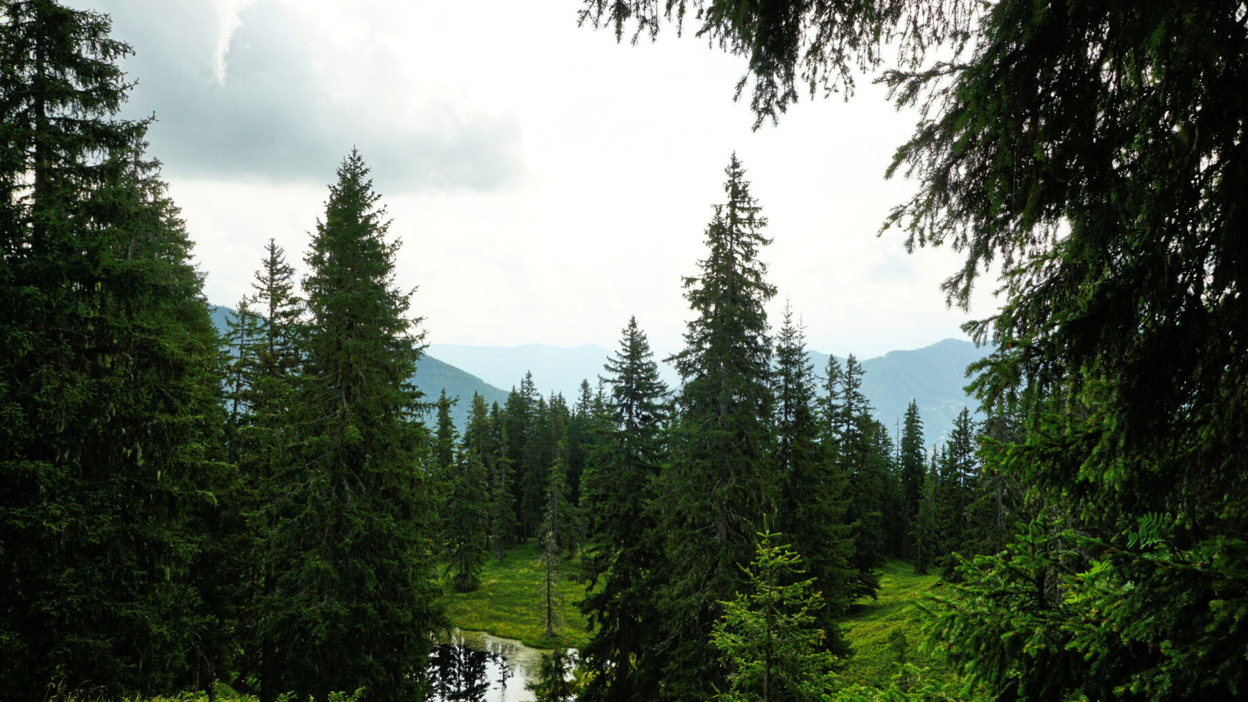 Am Saalachtaler Höhenweg. Foto: Alpenverein Saalfelden