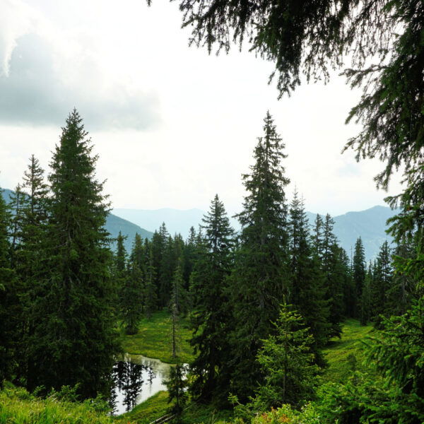 Am Saalachtaler Höhenweg. Foto: Alpenverein Saalfelden