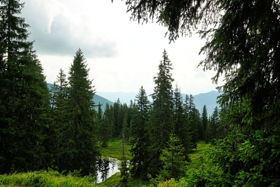 Am Saalachtaler Höhenweg. Foto: Alpenverein Saalfelden