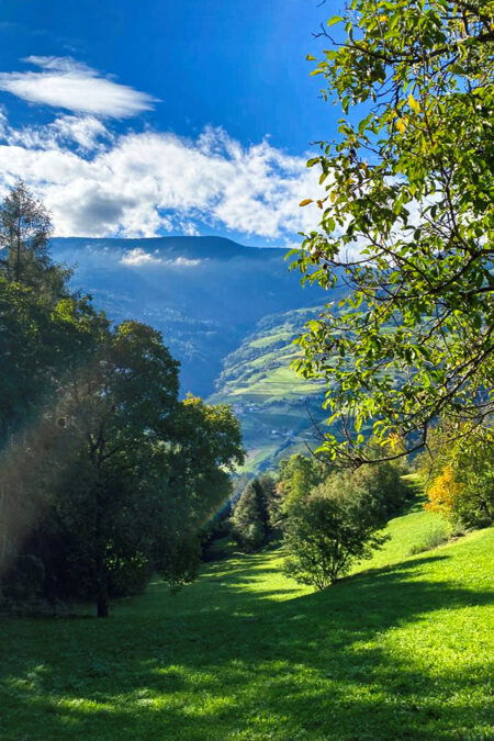 Panoramawanderweg nach Albions. Foto: Sarah Kurze