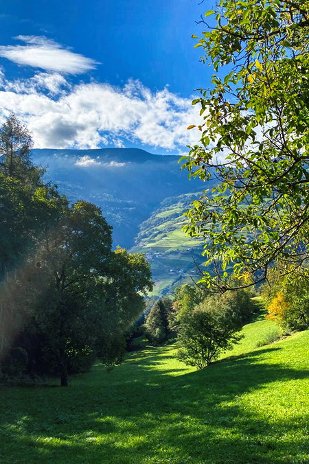 Panoramawanderweg nach Albions. Foto: Sarah Kurze