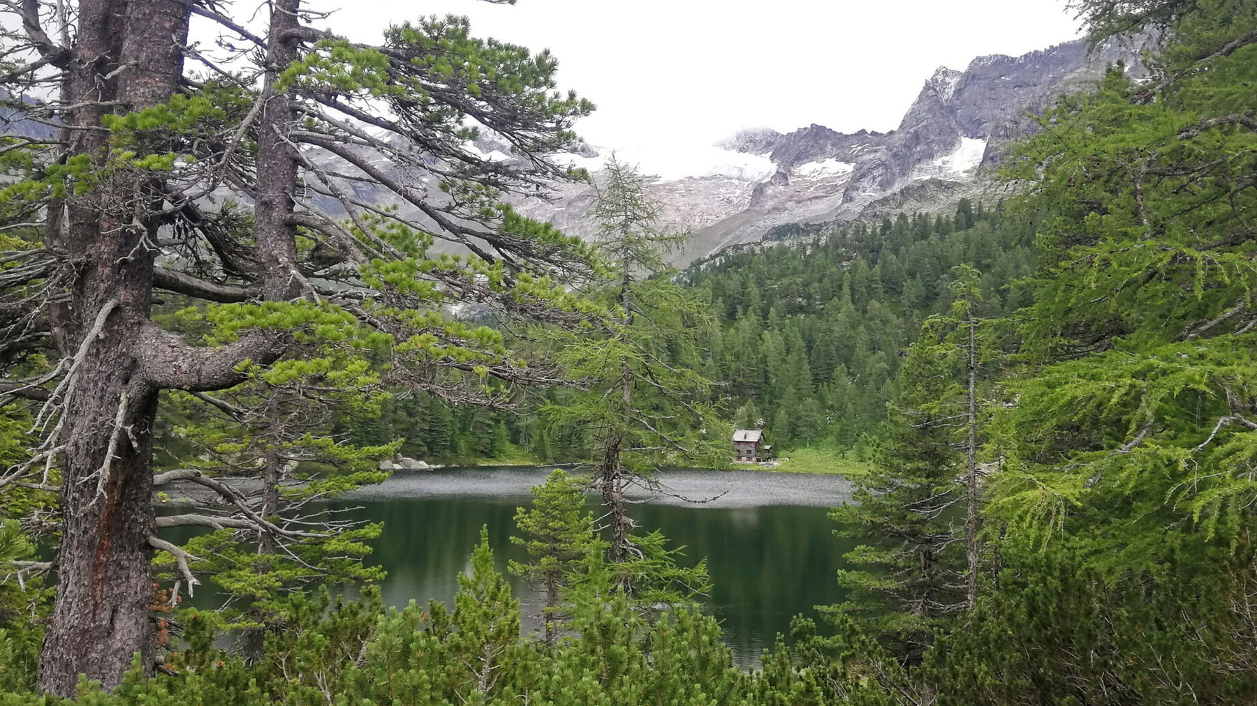 Erster Blick auf den Reedsee. Foto: Sarah Stainer