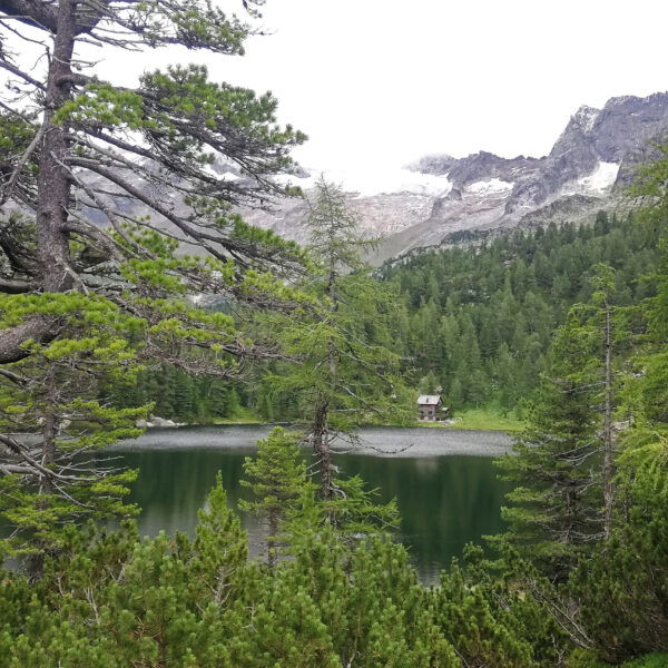 Erster Blick auf den Reedsee. Foto: Sarah Stainer