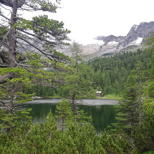 Vom Kötschachtal zum Reedsee