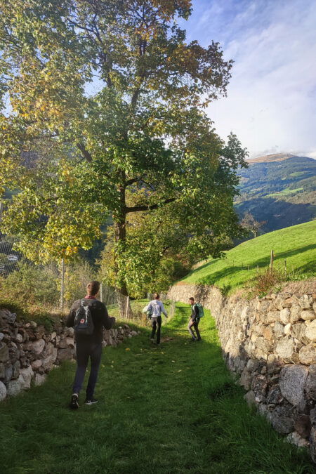 Der schöne und breite Wanderweg 5 führt herunter nach Klausen. Foto: Sarah Kurze