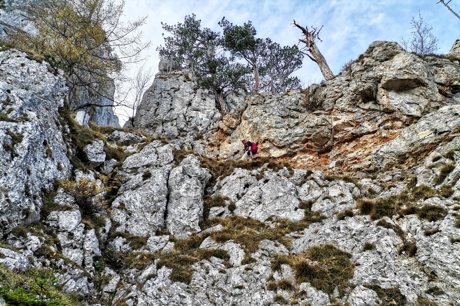 Foto: Gerold Petritsch