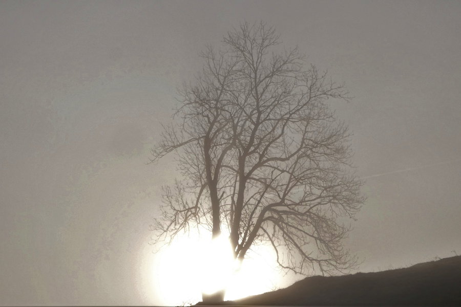 Ohne Worte – nur offener Mund. Foto: Karl Plohovich