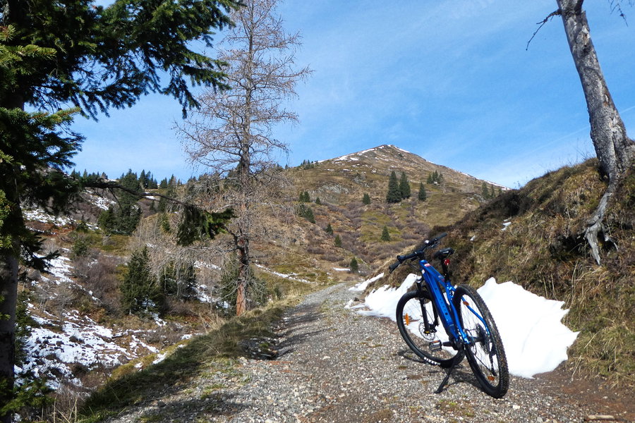 Almweg – Sportgerät vor Mosseckhöhe. Foto: Karl Plohovich