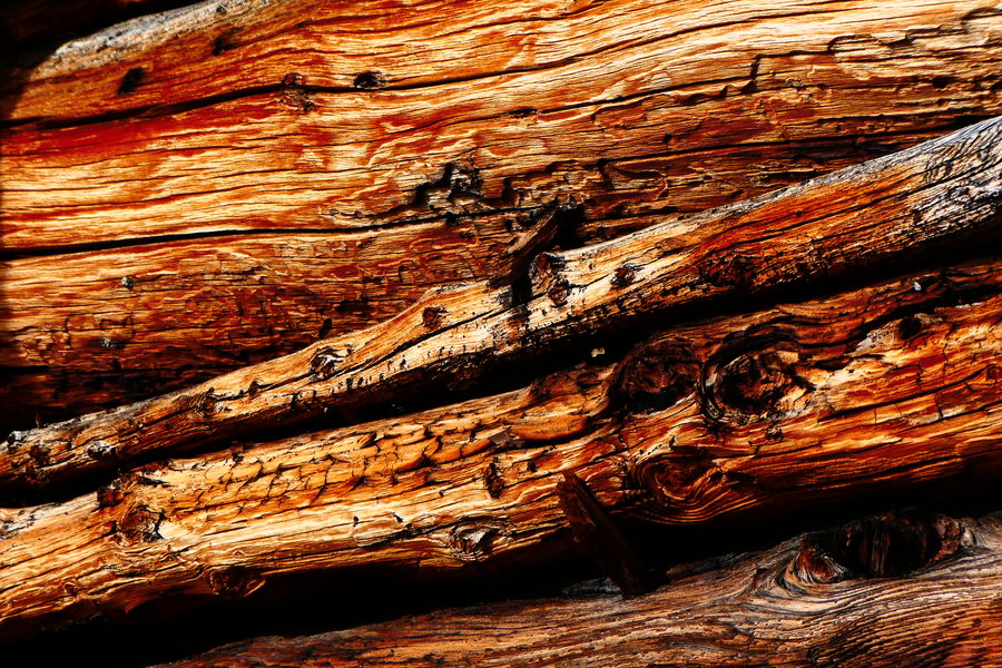 Warme Lärchenbalken. Foto: Karl Plohovich