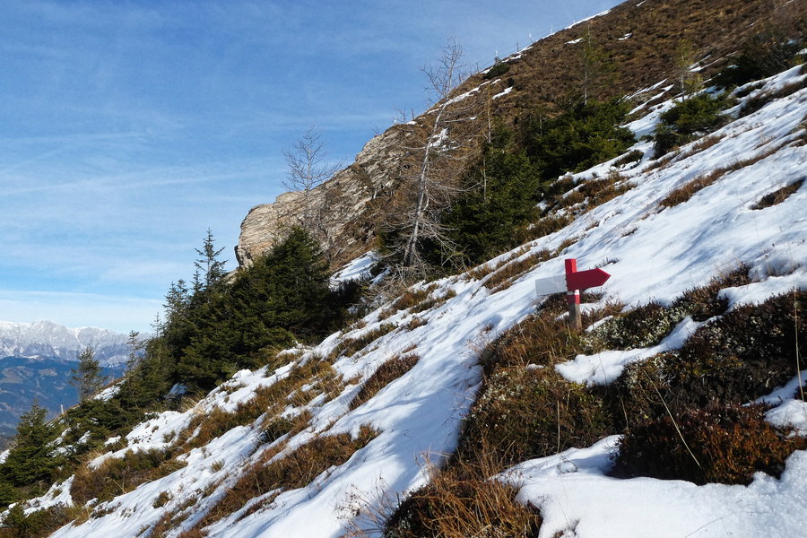 Hilfreiche Markierung. Foto: Karl Plohovich