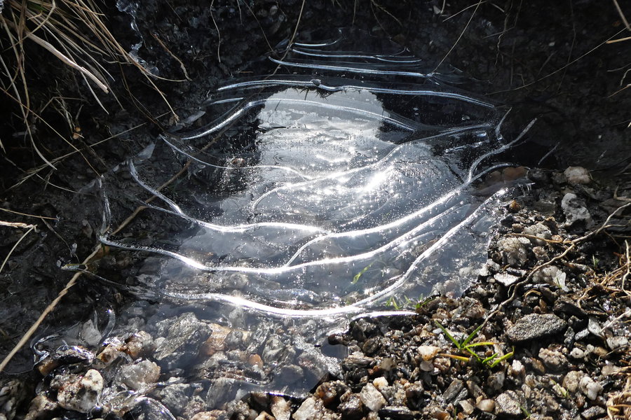 Wunderlacke. Foto: Karl Plohovich