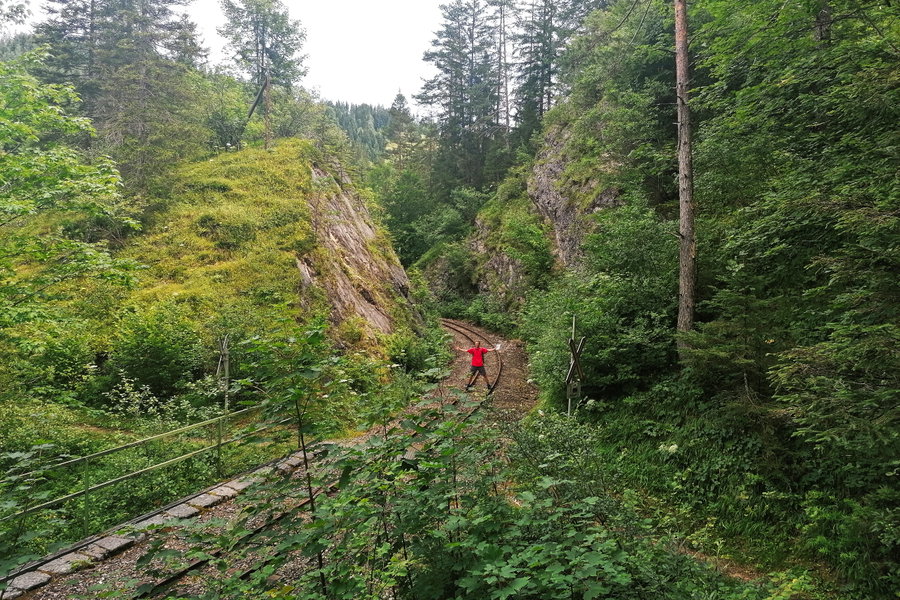 Steht ein Männlein auf den Gleisen. Foto: Sarah Pallauf