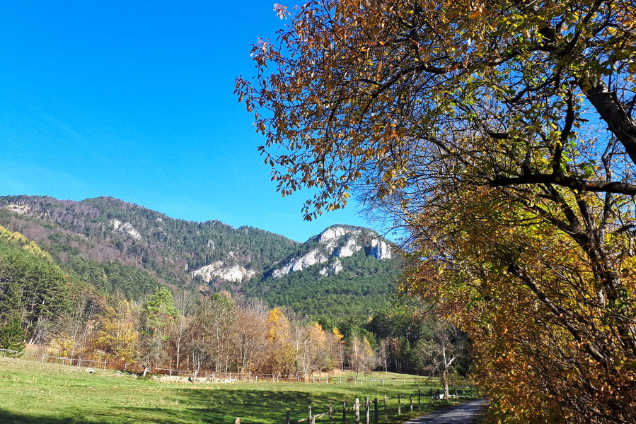 Foto: Gerold Petritsch