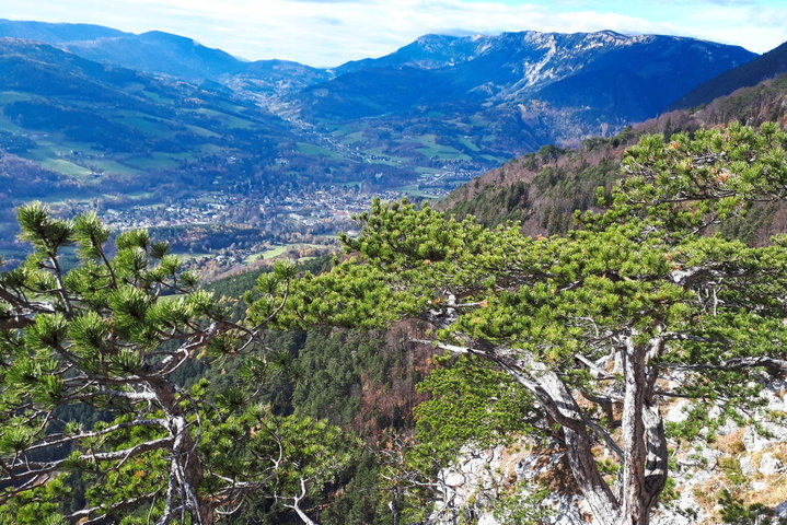 Aussicht 1. Foto: Gerold Petritsch