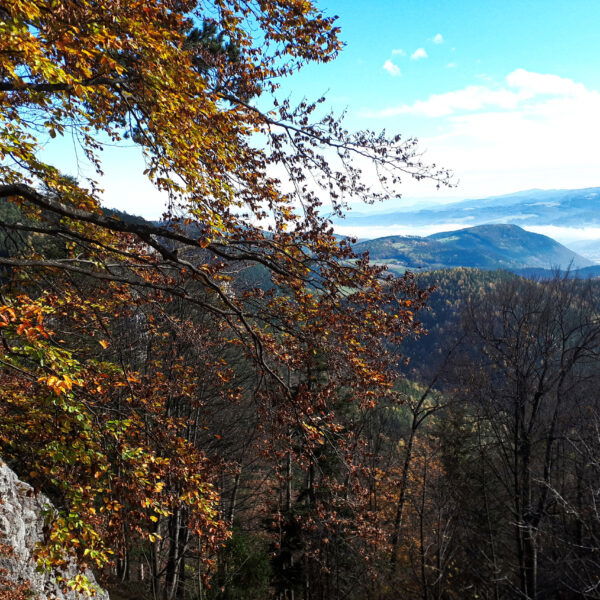 Aussicht 3. Foto: Gerold Petritsch