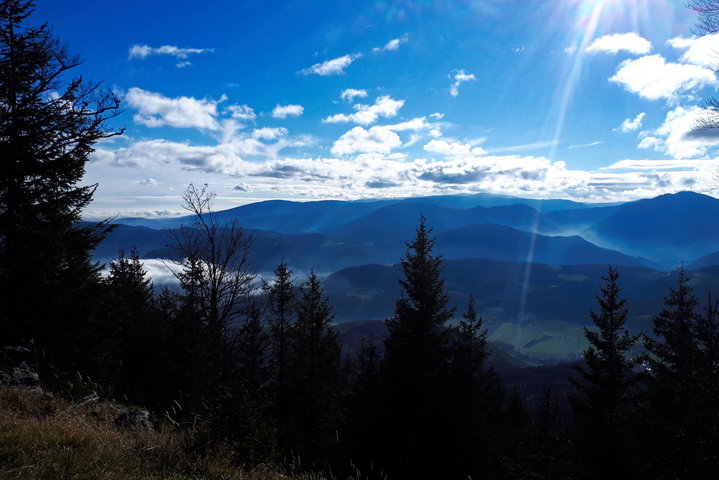 Bergauf zur Schwarzenberg-Aussicht 2. Foto: Gerold Petritsch