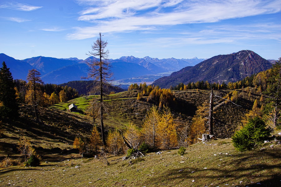 Alm. Foto: Gerhard Hohenwarter