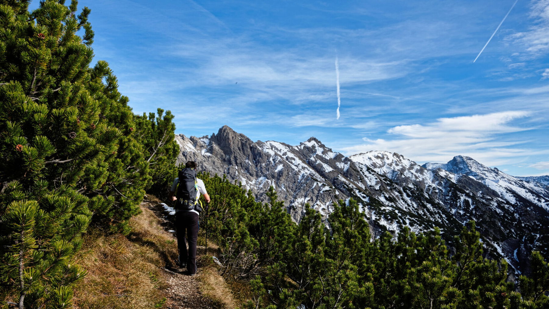 Der Weg lichtet sich. Foto: Regionalentwicklung Außerfern