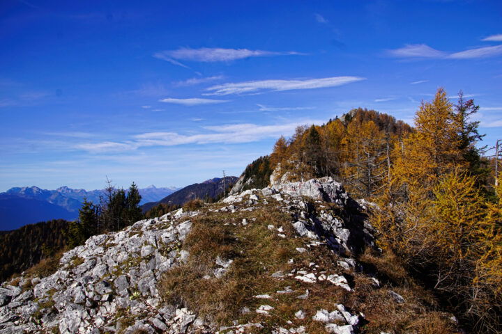 Gipfelblick. Foto: Gerhard Hohenwarter