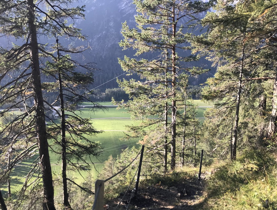 Durch den Wald auf die Almen von Elmen. Foto: David Kurz