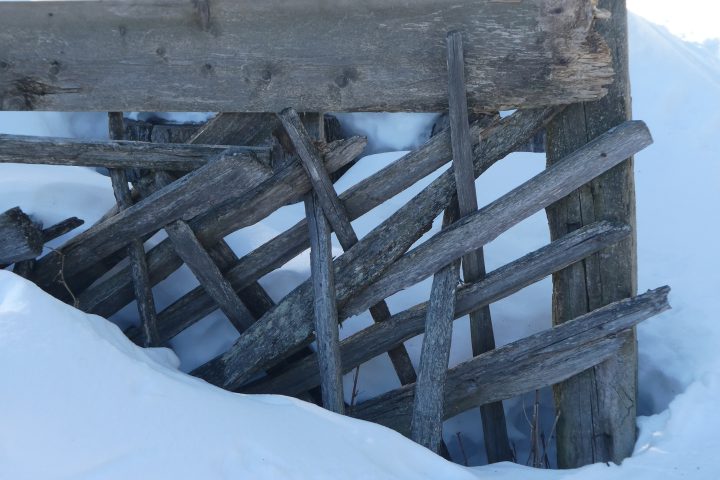 Kunstwerke. Fotos Karl Plohovich