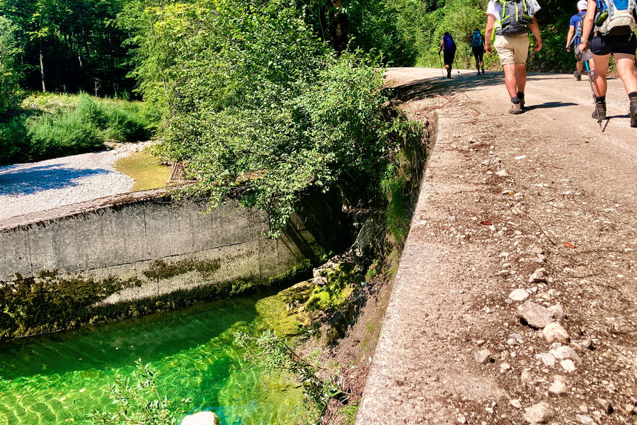 Kurz vor Tourende: Forststraße beim Schwarzenbach. Foto: Stefan Hochhold