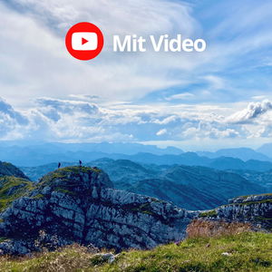 Zirkus am Berg mit Heidelbeeren