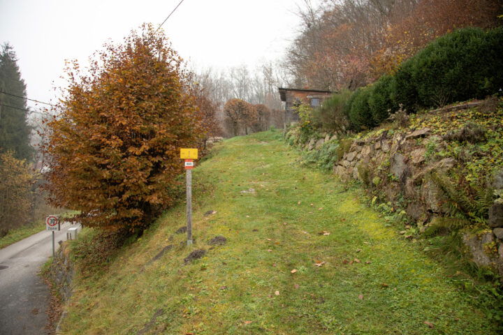 Weg zur Ruine Rottenegg 2. Foto: Eva Maria Ginal