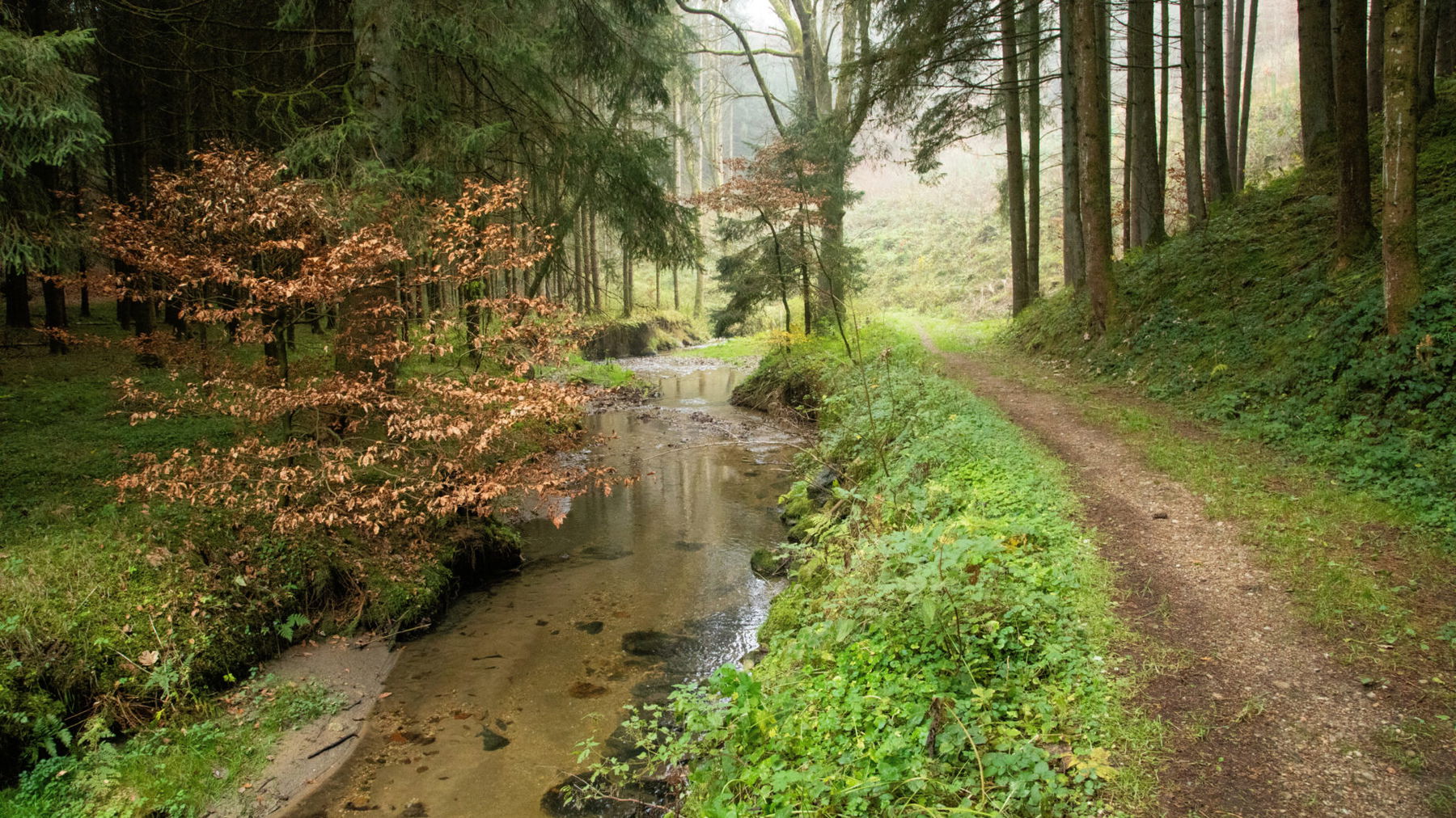 Eschelbach. Foto: Eva Maria Ginal