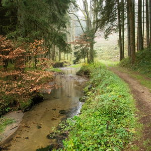Von Bach zu Bach und Burg zu Schloss