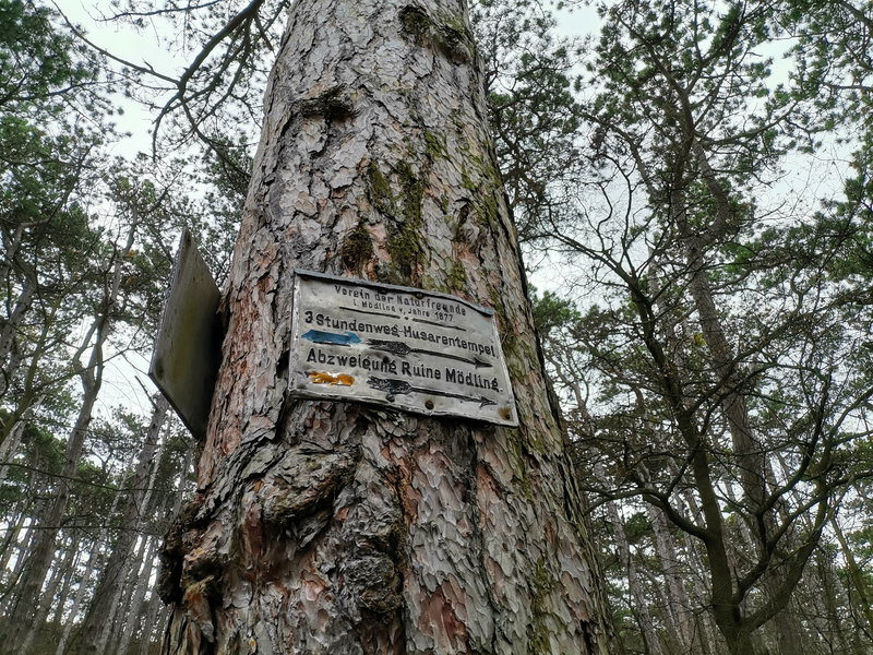 An der großen Kreuzung weiter am 3-Stundenweg. Foto Veronika Schöll
