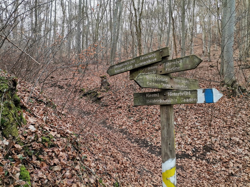 Verbindungsweg 3-Stundenweg - Grenzweg. Foto Veronika Schöll