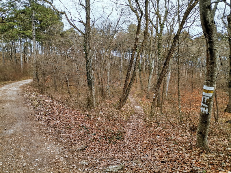 Abzweiger zum Matterhörndl. Foto Veronika Schöll