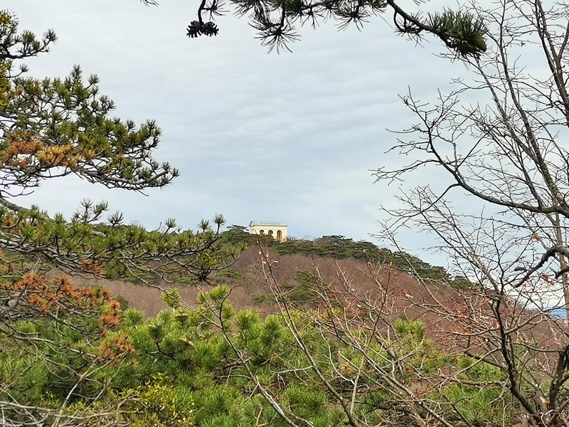 Rückblick zum Husarentempel. Foto Veronika Schöll