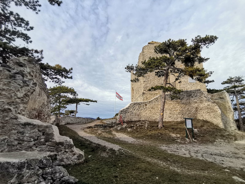 Burg Mödling. Foto Veronika Schöll