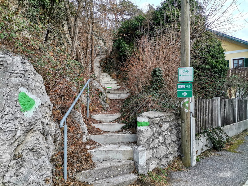In der Liechtensteinstraße. Foto Veronika Schöll