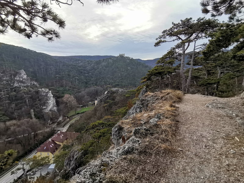 Am Gamseckersteig, Rückblick zur Burg Mödling. Foto Veronika Schöll
