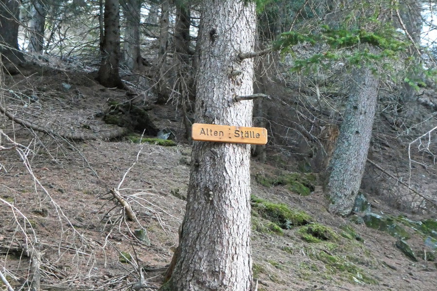 Zeuge früherer Wanderweg. Foto: Karl Plohovich