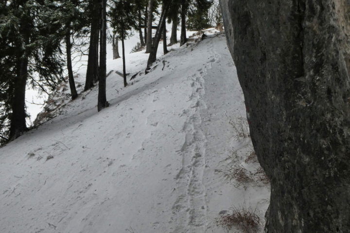 Noch romantischer mit Schneeschuhen. Foto: Karl Plohovich