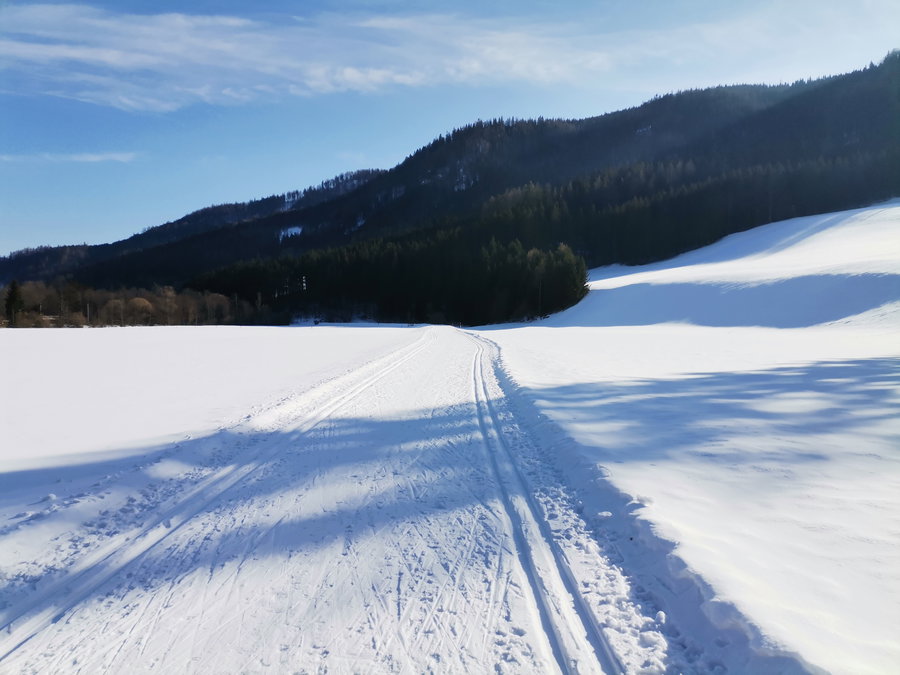 Smooth! Foto Veronika Schöll