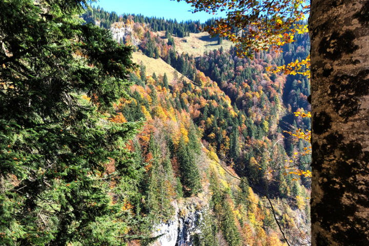 Ein paar Impressionen vom Wanderweg 2. Foto: Anna Siebenbrunner, POW AT