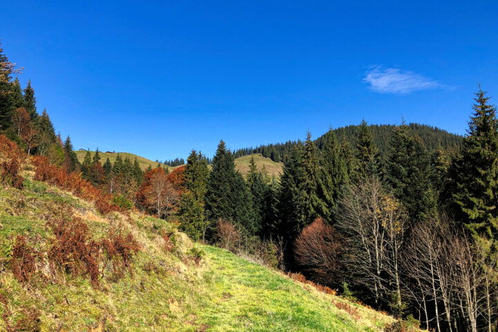 Ein paar Impressionen vom Wanderweg 3. Foto: Anna Siebenbrunner, POW AT